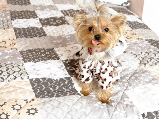 Cómo mantener tu casa limpia (y con buen olor) si tienes perro