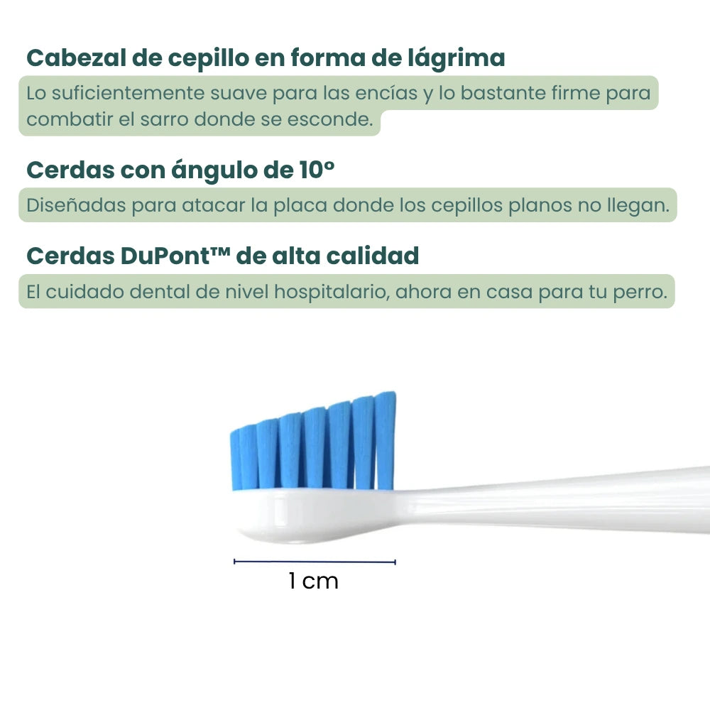 Canident Pro™