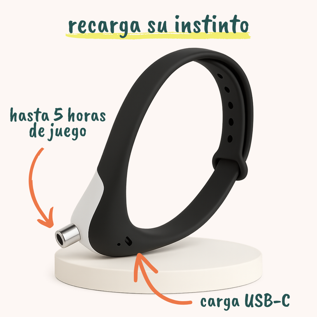 Collar con láser integrado para estimular el juego en gatos