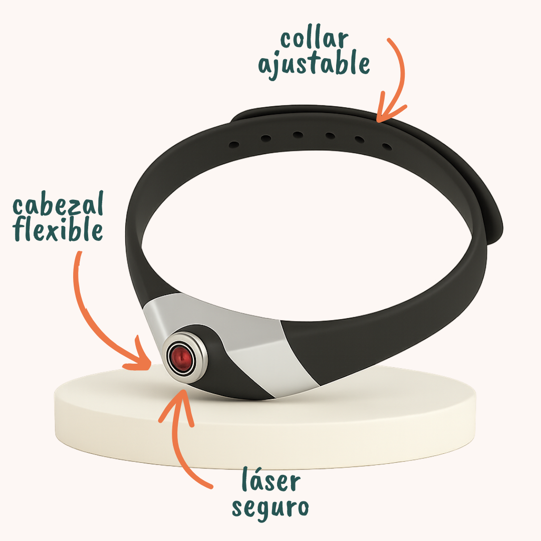 Estimulación física y mental para gatos con collar láser