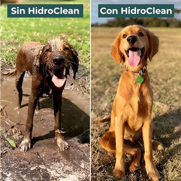 HidroClean + 2 Guantes de baño GRATIS
