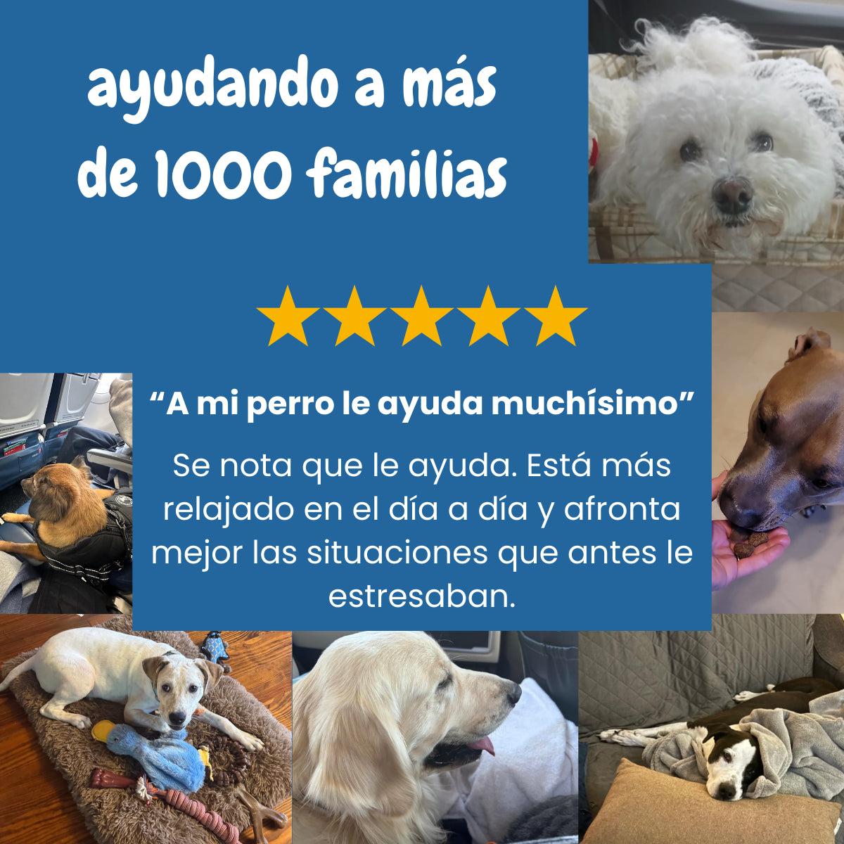 Complemento Calma y Relax