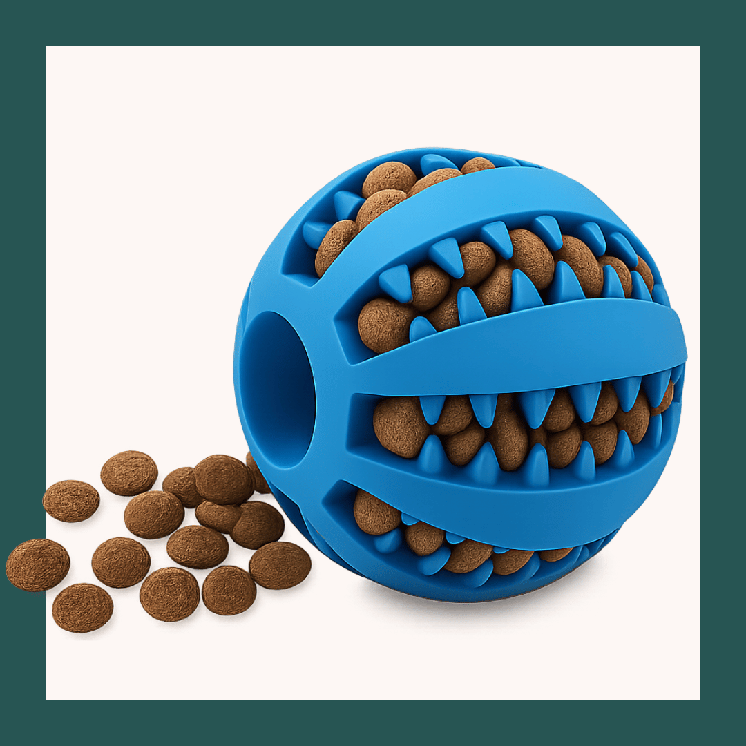 Pelota activa de tu reino animal con espacio para snacks que estimula la mente, promueve la higiene dental y mantiene a tu mascota activa y entretenida.