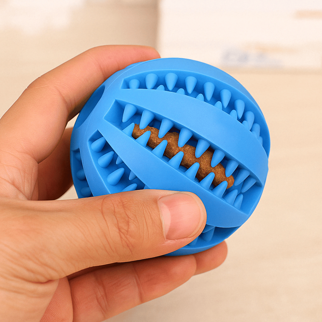 pelota activa e interactiva para perros para mejorar su higiene bucodental de tu reino animal