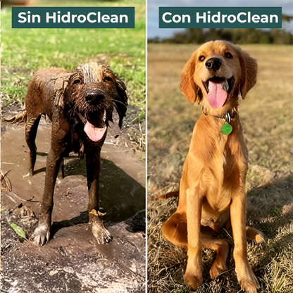 HidroClean + 2 Guantes de baño GRATIS