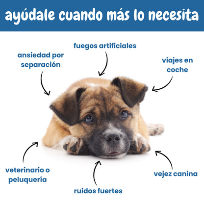 Complemento Calma y Relax