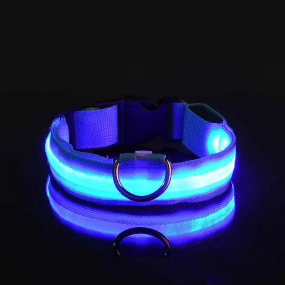 Collar LED