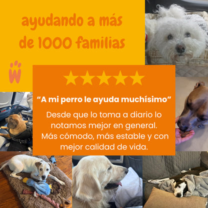Probióticos para perros