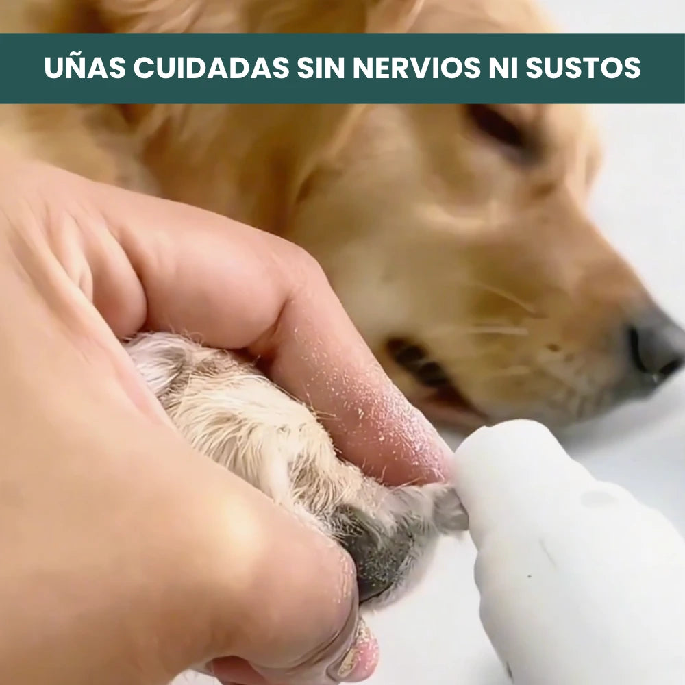 Persona limando las uñas de su perro en casa con un cortauñas eléctrico cómodo y seguro