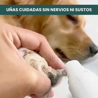 Persona limando las uñas de su perro en casa con un cortauñas eléctrico cómodo y seguro
