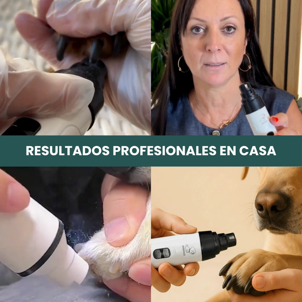 Primer plano de un cortauñas eléctrico limando las uñas de un perro con precisión y suavidad.
